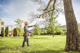Best Lot and Land Clearing  in Centennial Park, AZ